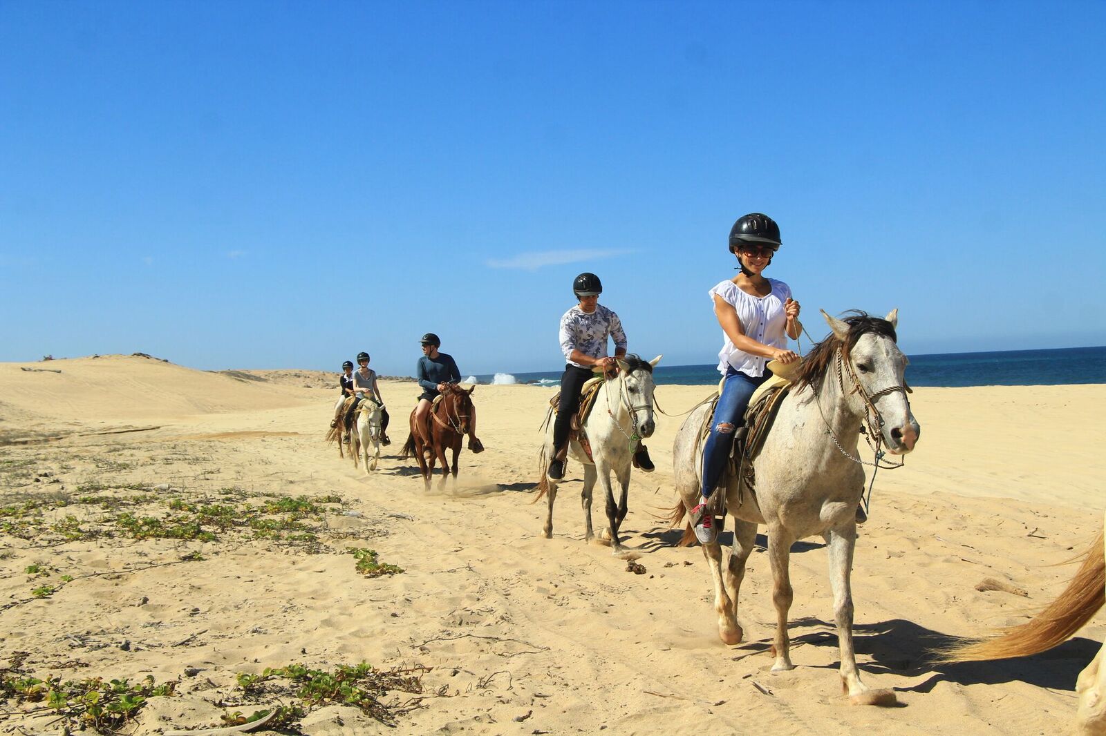 Product Beach Horseback 